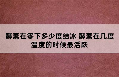 酵素在零下多少度结冰 酵素在几度温度的时候最活跃